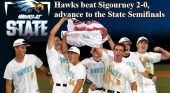 Hawks soar to the State Semifinals